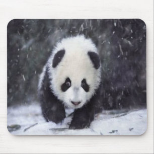 Snow Panda Baby Mousepad