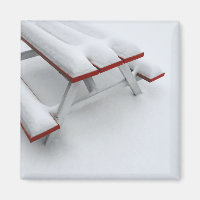 snow picnic