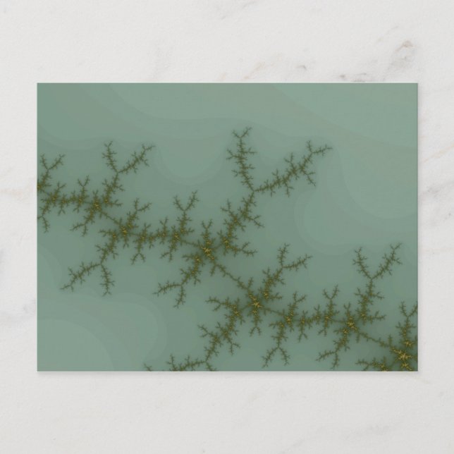 Snow Pine - Fractal Art Postcard (Front)