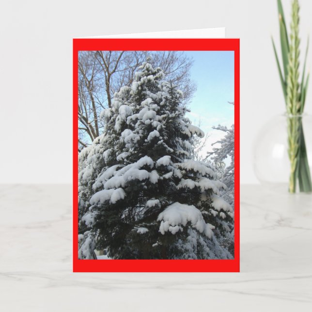 Snow Pine Holiday Card (Front)