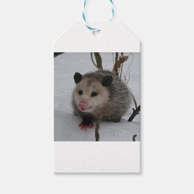 Snow Possum Gift Tags (Front)