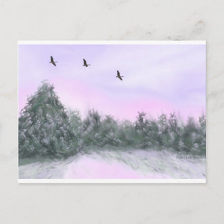 Snow Postcard