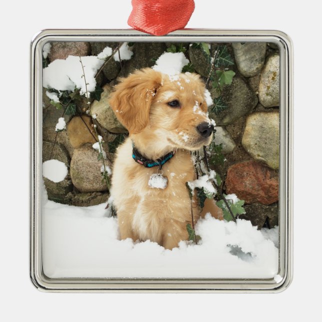 Snow Puppy Metal Tree Decoration (Front)