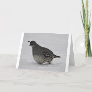 Snow Quail Card
