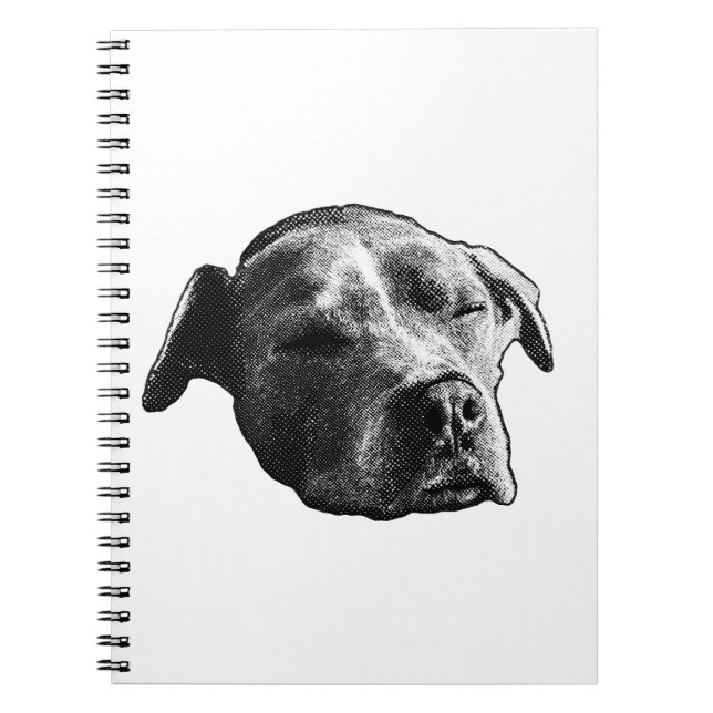 Snow-Quiet Pages Notebook (Front)