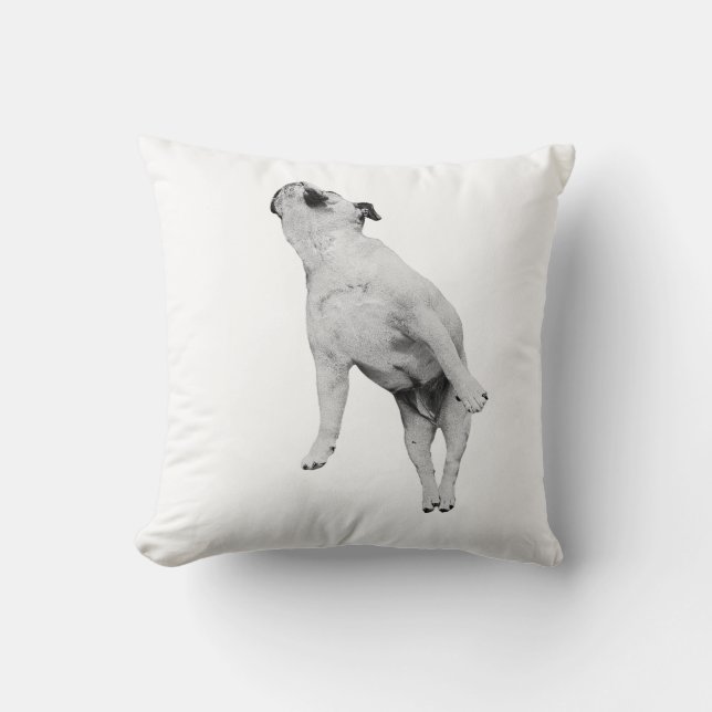 Snow-Quiet Slumber Cushion (Front)