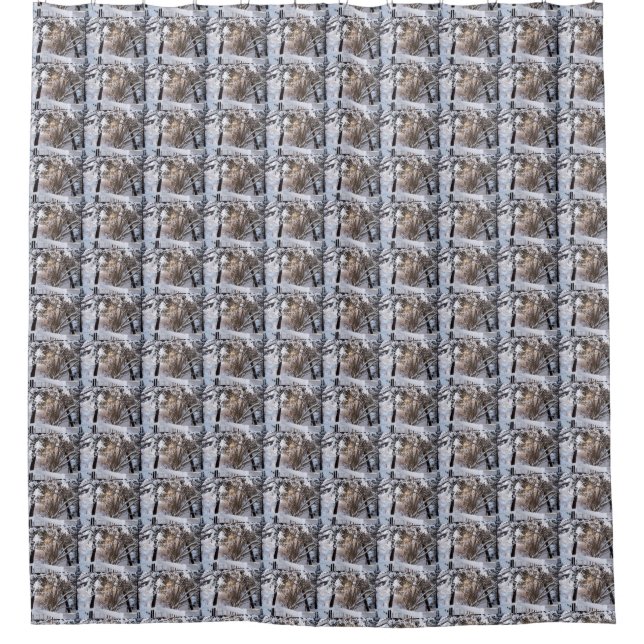 Snow Scene Shower Curtain (Front)