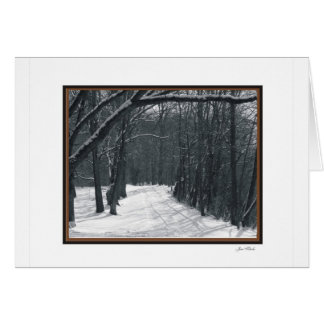 snow scenes