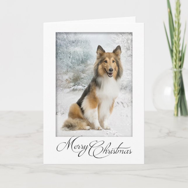 Snow Sheltie Christmas Card (Front)
