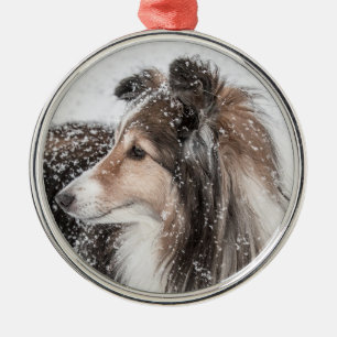 Snow Sheltie Christmas Ornament
