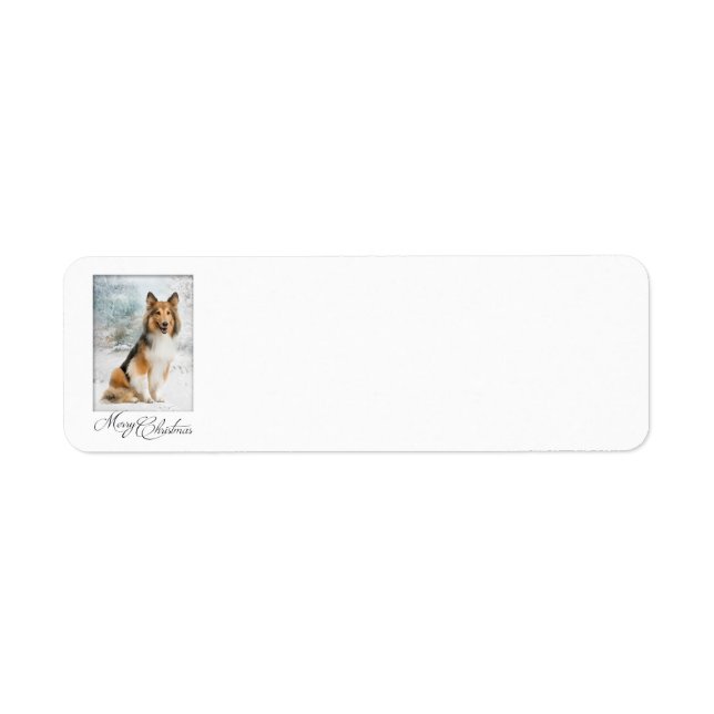 Snow Sheltie Christmas Return Address Labels (Front)