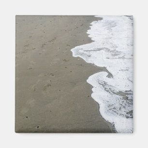 snow shore magnet