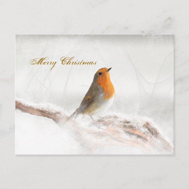 Snow Shower Robin Redbreast Holiday Postcard (Front)