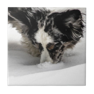 Snow Snout Corgi Tile