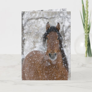 Snow Stallion Horse Greeting Card