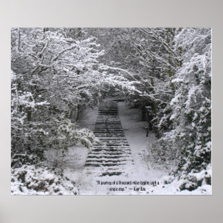 Snow steps poster