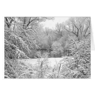 Snow Storm