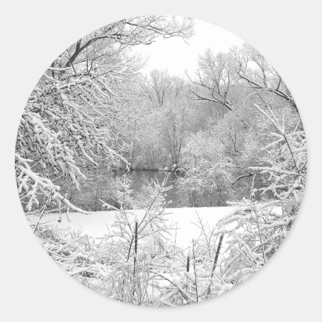 Snow Storm Classic Round Sticker (Front)