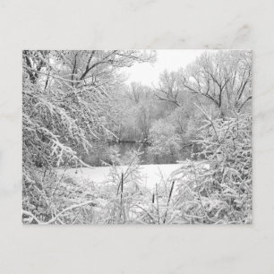 Snow Storm Postcard