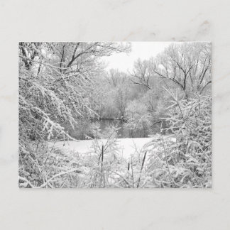 Snow Storm Postcard