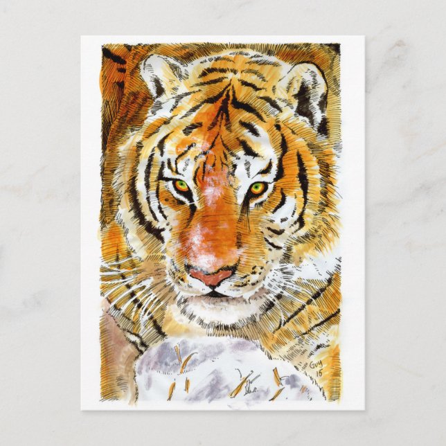 Snow Tiger Postcard (Front)