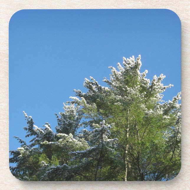 Snow-tipped Pine Tree on Blue Sky Coaster (Front)