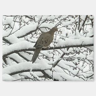 Snow Tree Branches Bird (photography by me) Magnet