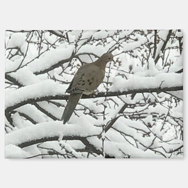 Snow Tree Branches Bird (photography by me) Magnet (Front)