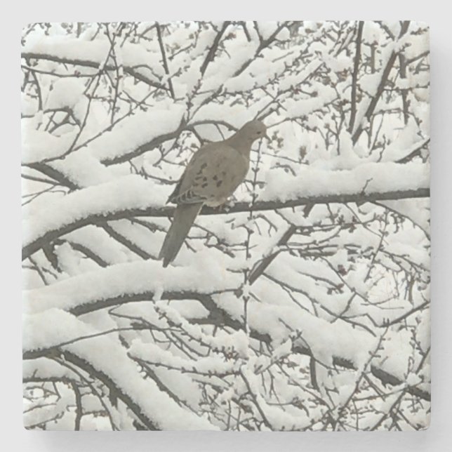 Snow Tree Branches Bird (photography by me) Stone Coaster (Front)