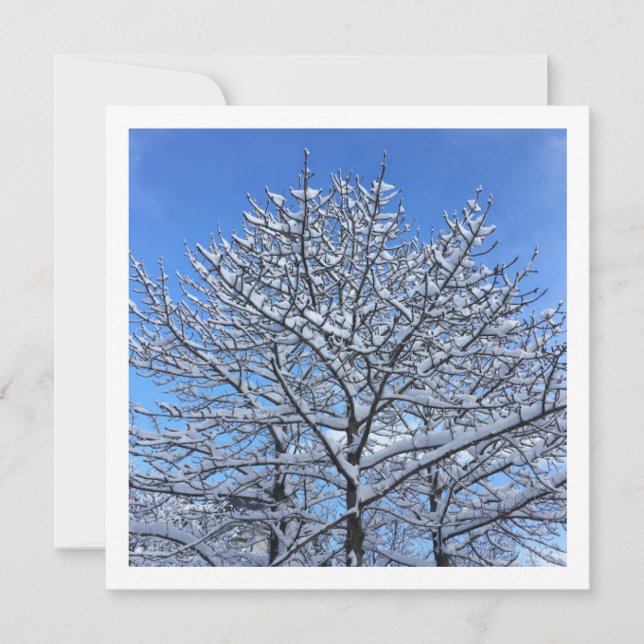 Snow tree - Personalised card (Front)