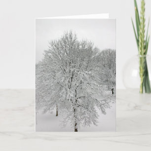 Snow Trees Card