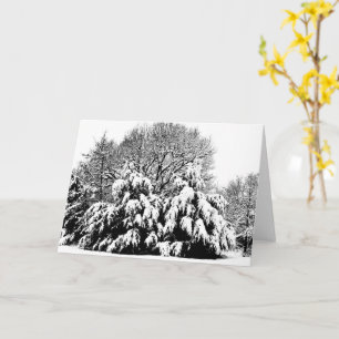 Snow Trees Nature Winter Scene Art Note Card