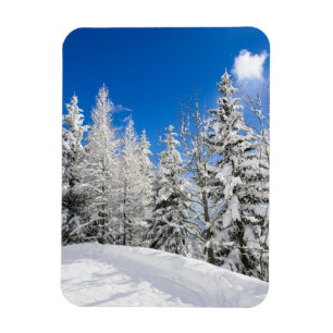 Snow trees under a clear blue sky vertical magnet