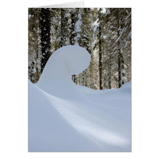 Snow Wave 2014