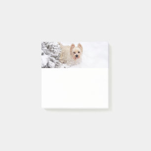 Snow Westie Dog Photo Stationery 3x3 Post-it Notes