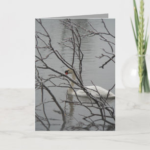 Snow White Card