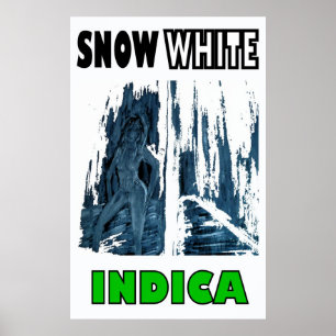 SNOW WHITE INDICA POSTER