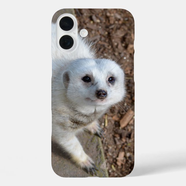 Snow White Meerkat, Case-Mate iPhone Case (Back)