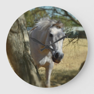 Snow White The Horse, Large Round Wall clock. Clock
