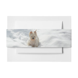 Snow White Westie Dog Photo Invitation Belly Band