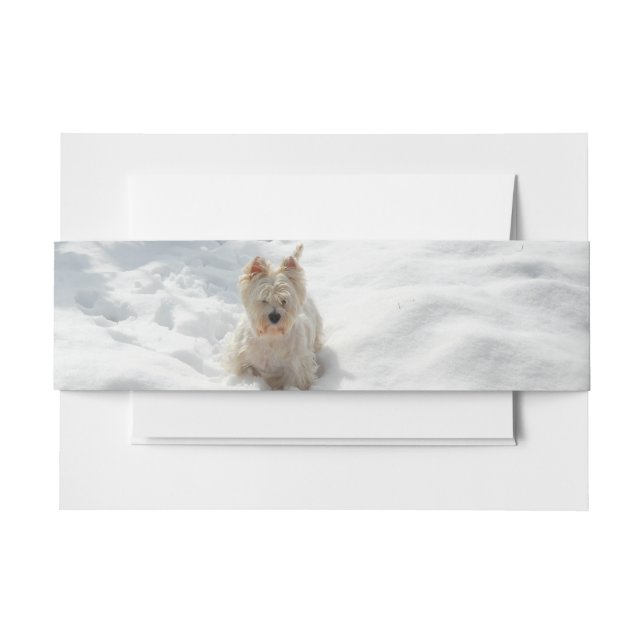 Snow White Westie Dog Photo Invitation Belly Band (Front Example)