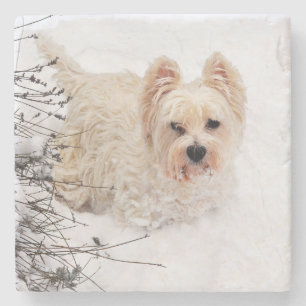 Snow White Westie Dog Photo Stone Coaster