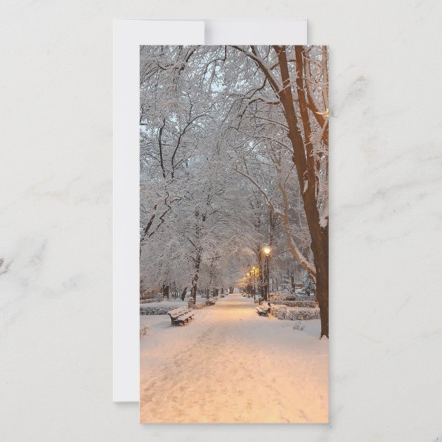 Snow Winter Park Scene Greeting Card (Front)