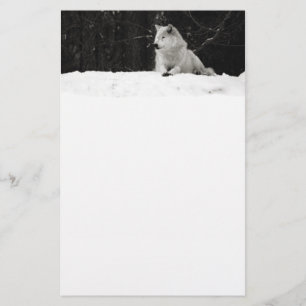 Snow Wolf