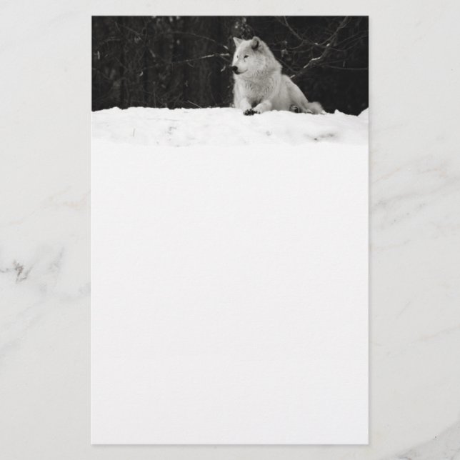 Snow Wolf (Front)