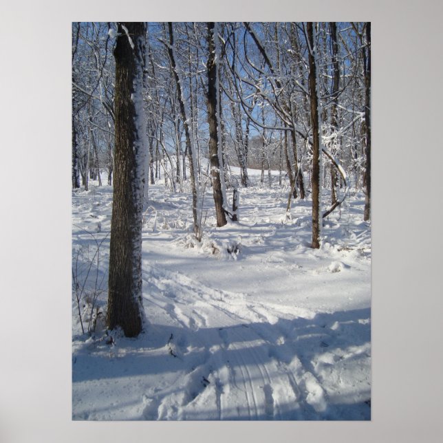 Snow Woods Poster (Front)