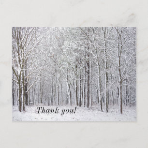 Snow Woods Thank you Postcard