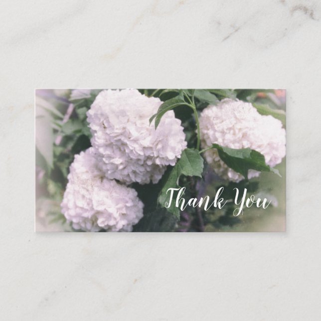 Snowball Bush Retro Floral Green Background Business Card (Front)