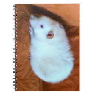 Snowball White Rat Notebook