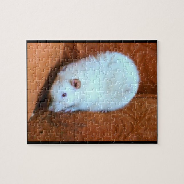 Snowball White Rat Puzzle (Horizontal)